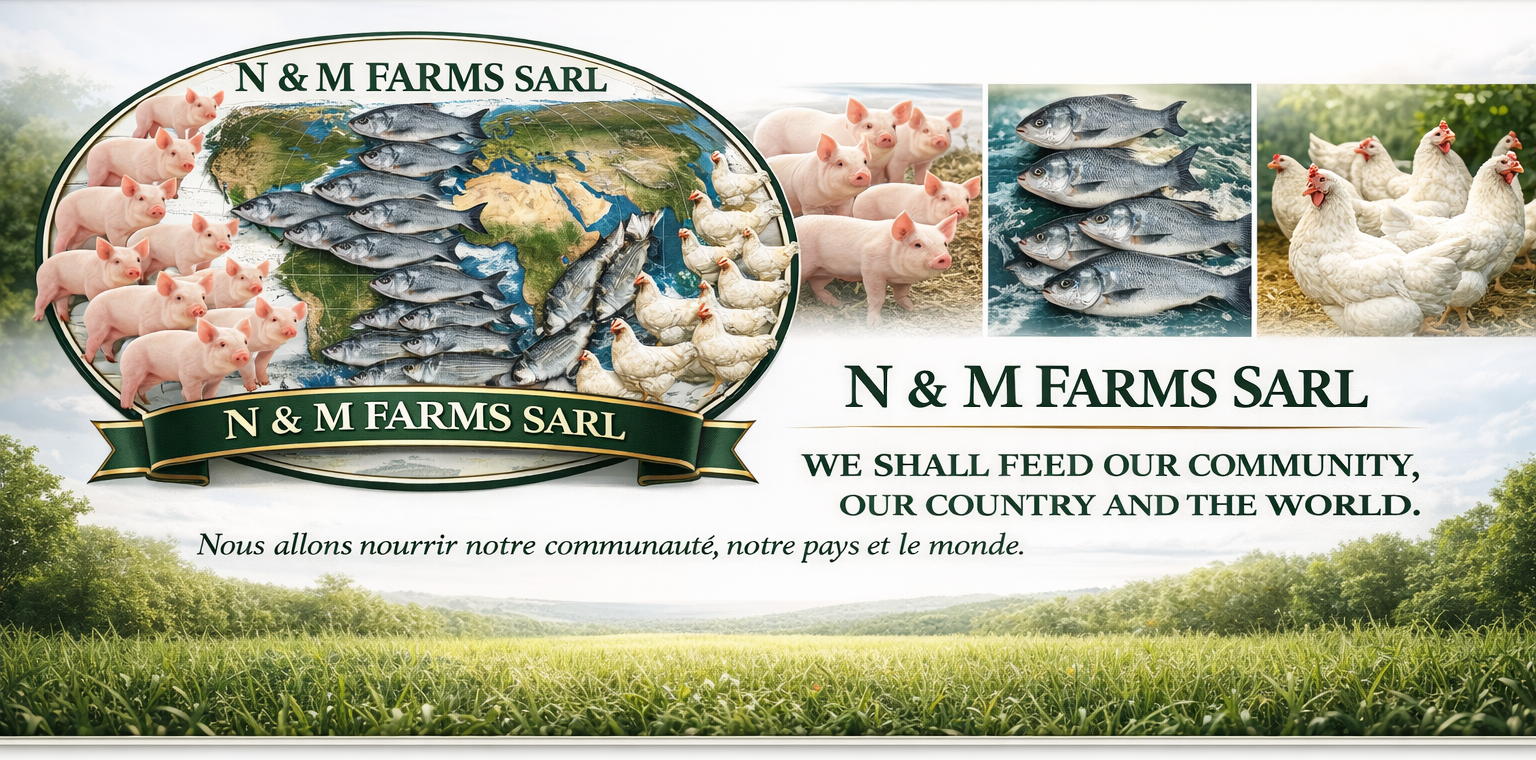 N & M FARMS Banner