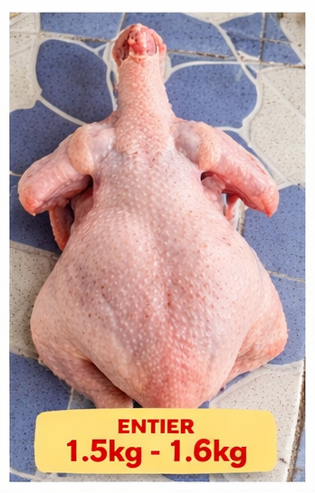 ENTIRE CHICKEN/POULET ENTIER 1.5kg - 1.6kg